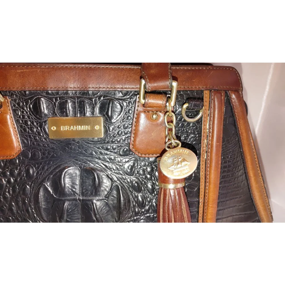 Brahmin Arden Tortoise Melbourne Satchel